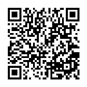 他真的能够命令在黑幕平原内所有的苍澜宗修士二维码生成