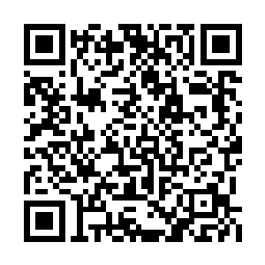 他眸底极力隐藏的忧郁倒是让她萌生了一丝怜悯二维码生成