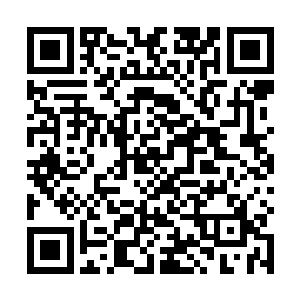 他眼中那泰山崩顶而不变色的老爷已经消失在了后花园二维码生成