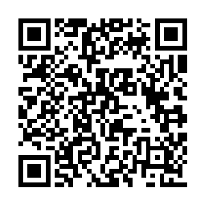 他眼角的余光看见三江监狱那扇铁门缓缓敞开了二维码生成