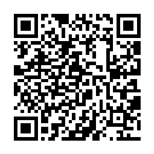 他瞬间就是感觉到自己的拳头击中在了一块钢板上面二维码生成