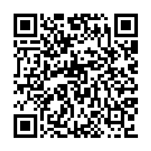 他知道七间是自己在同龄人里所遇过的最强之敌二维码生成