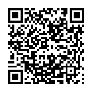 他知道了翎萱这几年过的极其的不易……守重孝的三年二维码生成