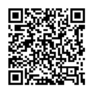 他知道事实上秉持中立的联合国维和部队并没有二维码生成