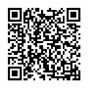 他知道他绝对承受不住这种肉体与神魂的双重燃烧二维码生成