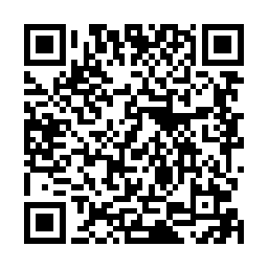 他知道以岳横刀的境界还无法真正触及到那一层次的信息二维码生成