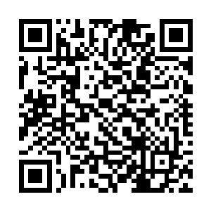 他知道会在这种荒漠之中行动的人多少都不是正常人二维码生成
