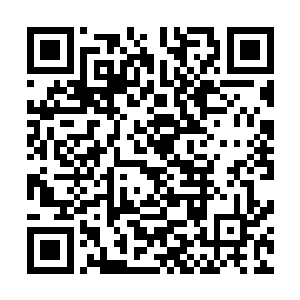 他知道其实早在她和阿曜成亲的那天就已经被她给吸引住了二维码生成