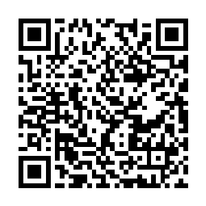 他知道凌菲从来没有放弃老祭祀的腿和花蕊的眼睛二维码生成