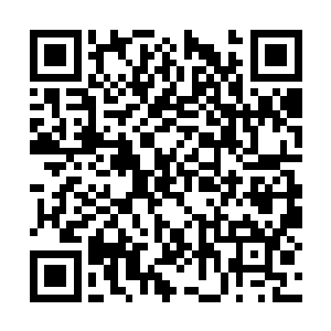 他知道医药代表们总是指望着销售业绩节节升高的二维码生成