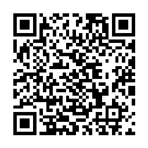 他知道只要纳甲土尸就可以对付梅代乃召和卫莘菁两个人二维码生成