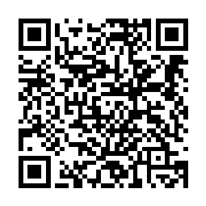 他知道和雨果组成一支乐队可以爆发出多大的能量二维码生成