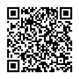 他知道小米的情况凭借医院的能力肯定是治不好的二维码生成