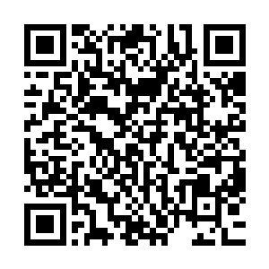 他知道当初修真界内的确存在着可以预知未来事情发展的宗门二维码生成
