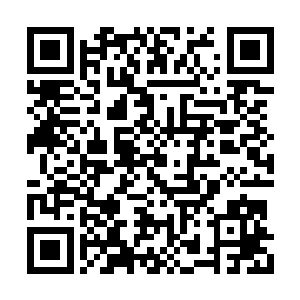 他知道怎么做才能把所有的风险都消灭在萌芽中二维码生成