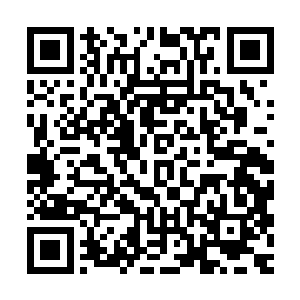 他知道有个办法可以帮助维尼平稳地度过宇宙魔池崩溃的那一夜二维码生成