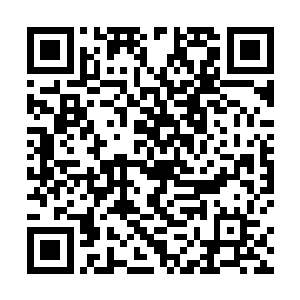 他知道洛莘和张仪伊就像是水和火的两个极端难以相融二维码生成