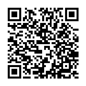 他知道秦逆流一定是要用自己和燕小霞来活祭他的儿子刘焕二维码生成