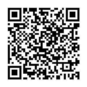 他知道红袍童子是在以秘法以牺牲自己为代价话來强大的力量二维码生成