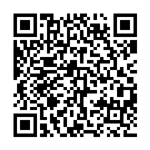 他知道这些伤口是因为剑意太过凝聚从而反伤其身造成的二维码生成