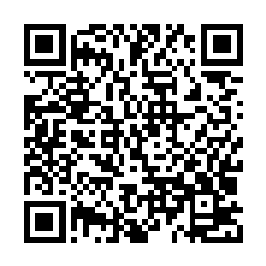 他硬生生地把申国兴地头发一点一点地拔了下来二维码生成