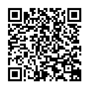 他确实无法解释为什么过滤了灵莲香气之后幻象还是无法解除二维码生成