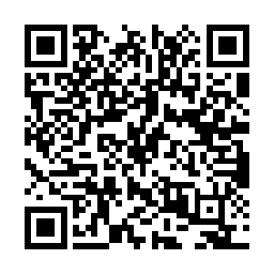 他确实没有给伪仙界的这些所谓的仙人治疗过疾病二维码生成