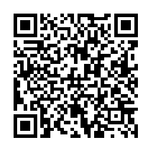 他神秘莫测而又空前强大的脑域总是最后的杀手锏二维码生成