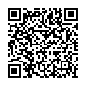 他神识非常强大早就探查到红魔山内有很多幻阵二维码生成