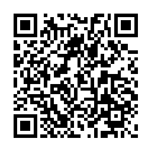 他突然想起这殇月姑娘是几天前就来这里挂户的二维码生成