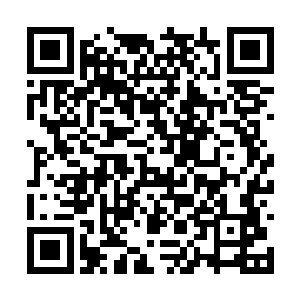 他立即迫不及待的向着秦方出手了……时间不等人二维码生成