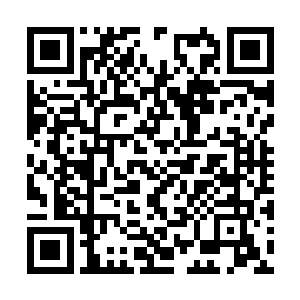 他竟然也从腰上解下来了一条黑不溜秋的九节钢鞭二维码生成