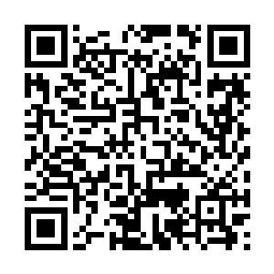 他竟然亲眼看到了生物进化过程中的一个重要节点二维码生成