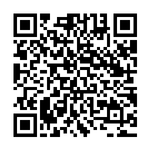 他竟然单单凭借突然的偷袭和强大的绝境刀术就搞定了一头雾龙二维码生成