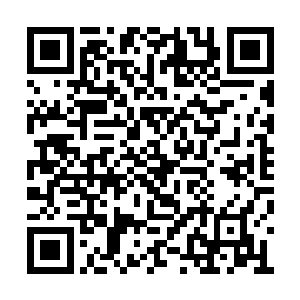 他竟然看到国家游泳运动管理中心的谢坤宏主任二维码生成