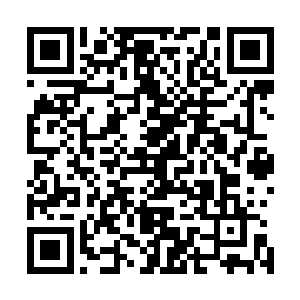 他竟然还拿火折子对着他们抓住的那个树人的头冠吹火……二维码生成