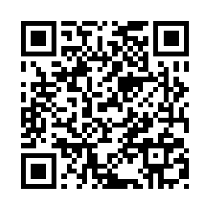 他竟舍得把自己从道宫秘境之内得到的一株二维码生成