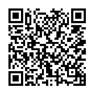 他第一次知道原来圣殿守卫者的数量竟然如此之多二维码生成