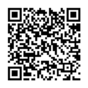 他答应要陪她把小时候想去而没去的地方都逛一圈二维码生成