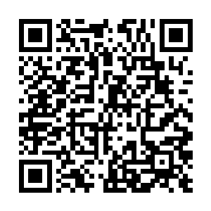 他简直就像是自己主动在坑道之中一头撞上去的一样二维码生成