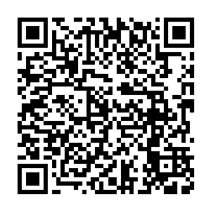 他算是彻底对让张东城带着自己去参加迈克尔杰克逊的宴会绝望了二维码生成