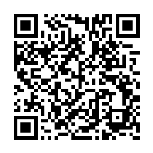 他终于体会到了当初颠道人为什么甘愿打破誓言二维码生成