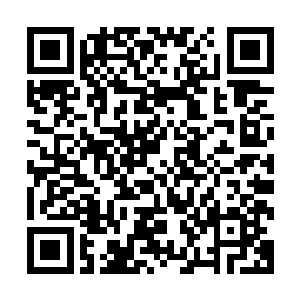 他终于明白为什么夏天在任何时候都是一副胸有成竹的样子了二维码生成