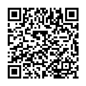 他终于知道那光辉之果和那金色的雾气是什么了二维码生成