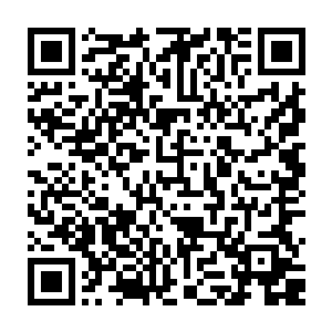 他绑架司嘉仪的目的居然是让司书记改变关于纺织厂那块地的开发权决定二维码生成