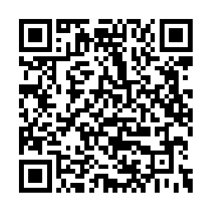 他绝壁没想到自己会被这些人拖入匹格猪的世界二维码生成