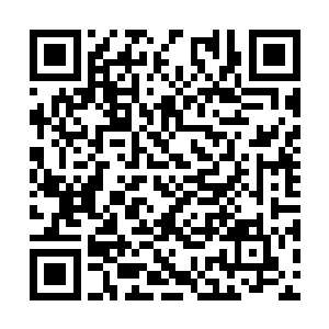 他绝对不会为了任何一个兄弟去将自己置身于死地二维码生成