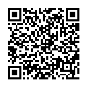 他绝对不能容忍这种出师未捷身先死的惨剧在自己身上重演二维码生成