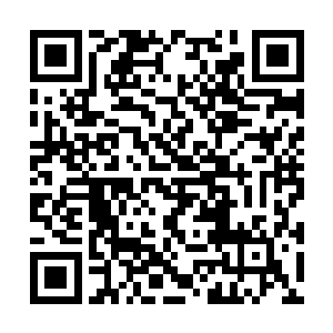 他绝对会固执的选择最好的战弓而不会退而求其次二维码生成
