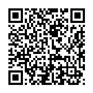 他老祖用特殊手段给换上了一对纳虚境魔人的手臂二维码生成